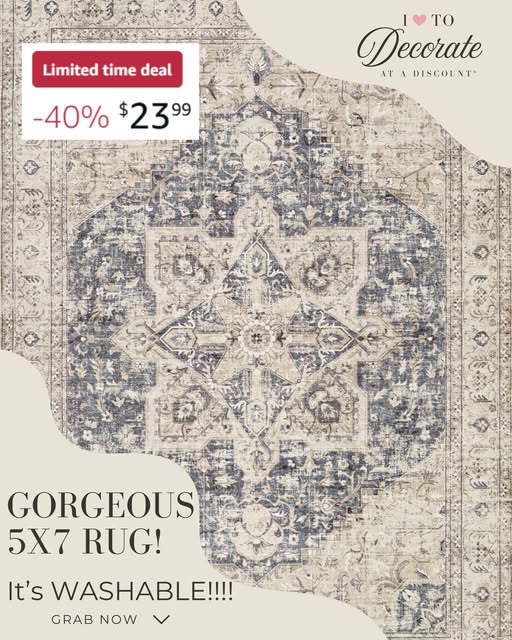 40% Price Drop On Tortania 5×7 Boho Area Rug For 23.XX